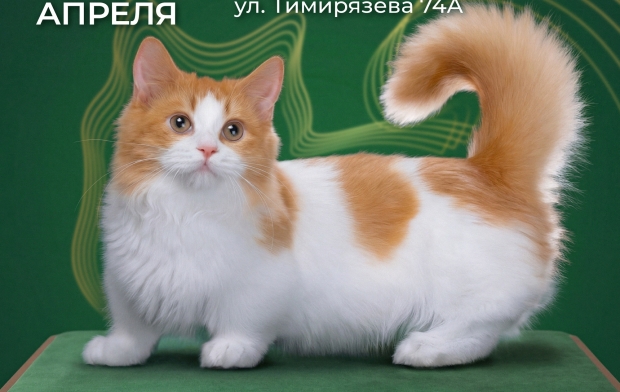 ������������� �������� ����� �������� ����-��� ������ ���