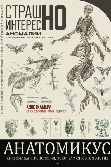 Выставка «Анатомикус» Выставка «Анатомикус»