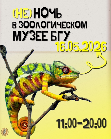 ���� ������ � ������ 2026: ���� ����� � ��������?