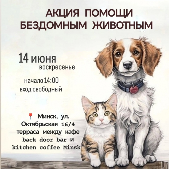 Акция помощи бездомным животным Акция помощи бездомным животным